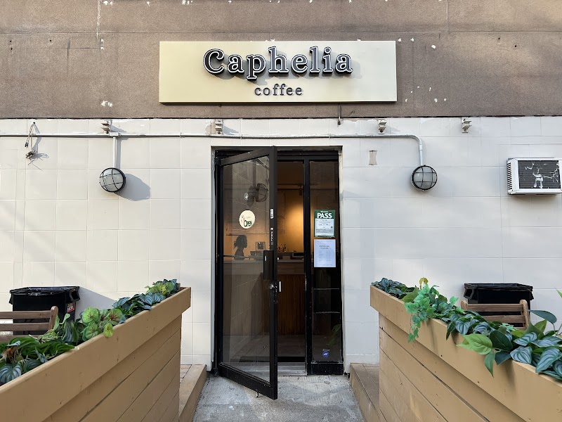 Caphelia / Toronto Place mentioned in saved reels