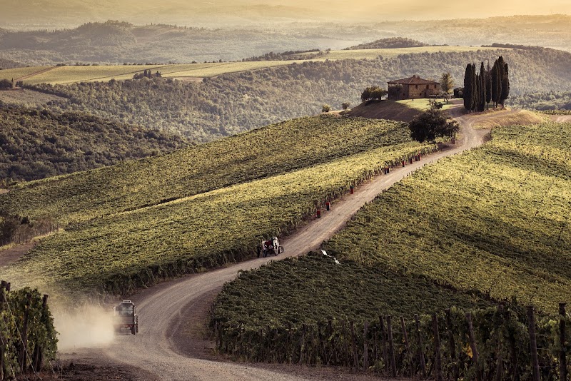 Castiglion del Bosco / Montalcino Place mentioned in saved reels