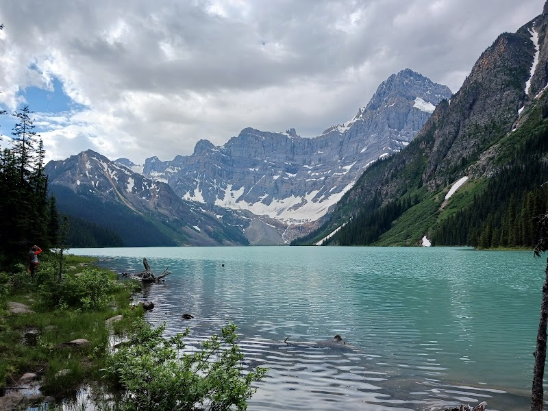 Chephren Lake / Banff
