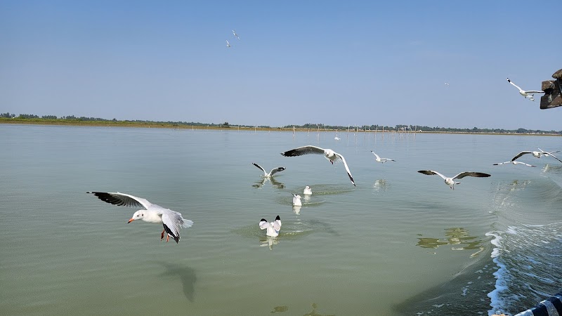Chilika Lake / Odisha