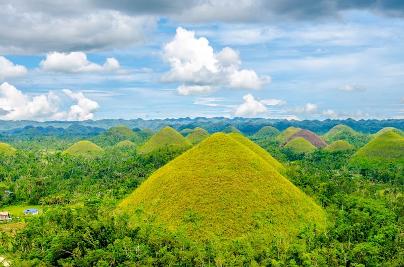 Chocolate Hills / Bohol