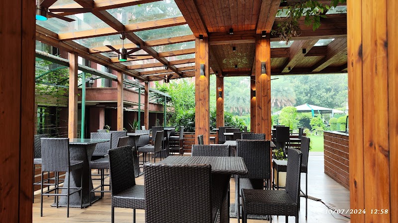 Cine Tree Cafe / Connaught Place Place mentioned in saved reels