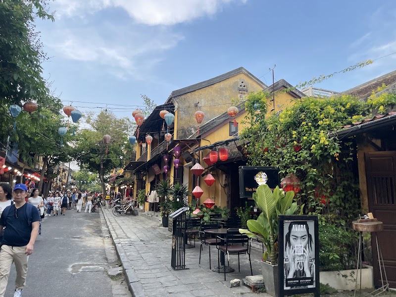 Coconut Forest / Hoi An