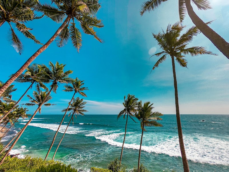 Coconut Tree Hill / Mirissa Place mentioned in saved reels