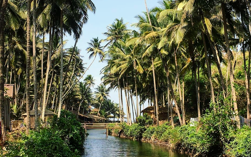 Cola / Goa Place mentioned in saved reels