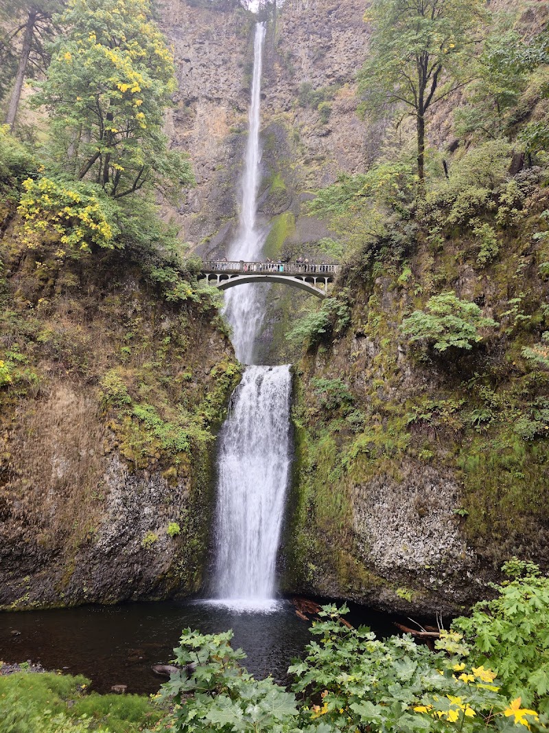 Columbia River Gorge / Oregon Place mentioned in saved reels