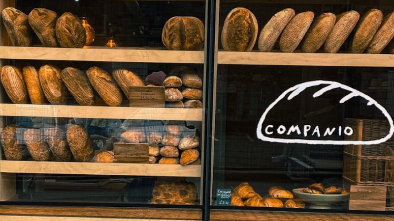 Companio / Manchester