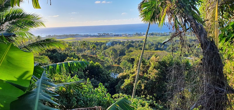 Cook Islands Place mentioned in saved reels
