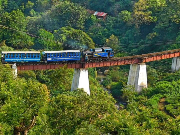 Coonoor / Tamil Nadu