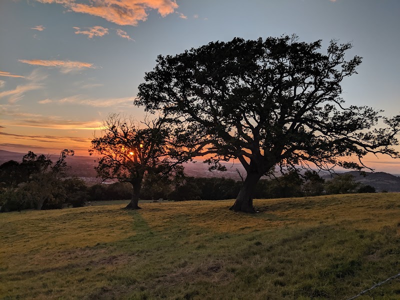 Cooper's Hill / Gloucester