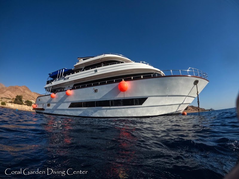 Coral Garden / Aqaba