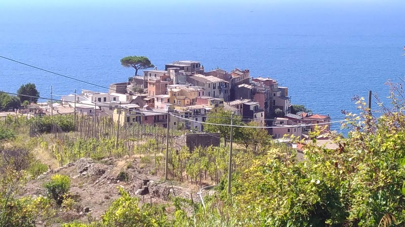 Corniglia / Italy Place mentioned in saved reels