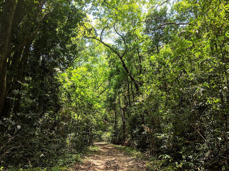 Cotigao Wildlife Sanctuary / Goa Place mentioned in saved reels