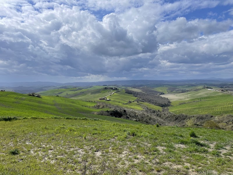 Crete Senesi / Italy