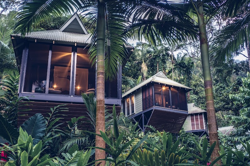 Daintree Ecolodge / Daintree