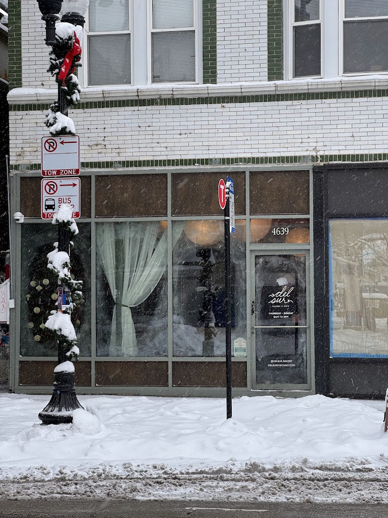 Del Sur Bakery / Chicago Place mentioned in saved reels