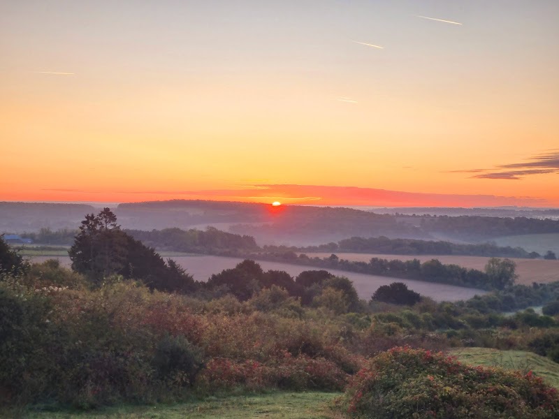 Dene Path / Stockbridge Place mentioned in saved reels
