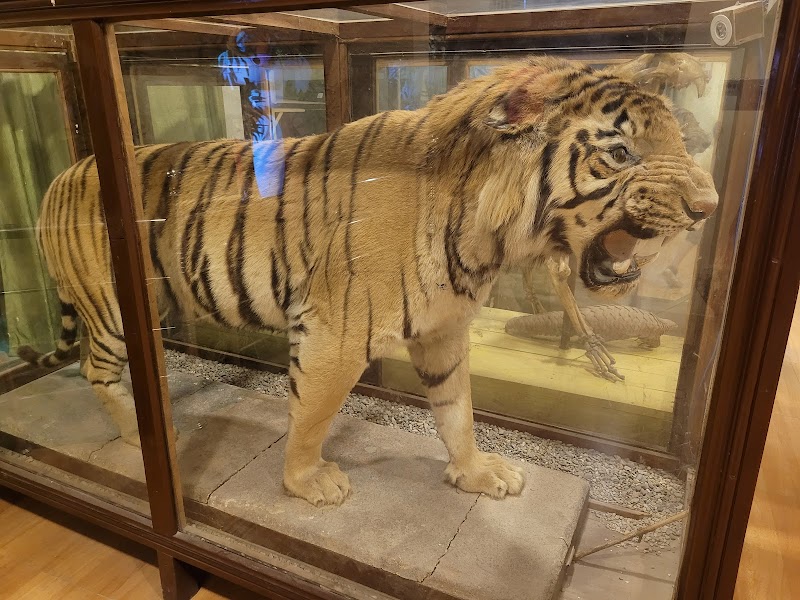 Dhikala Zone Place mentioned in saved reels