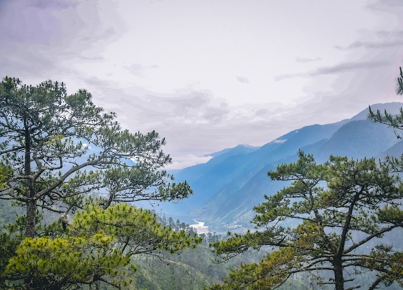 Dong Valley / Arunachal Pradesh