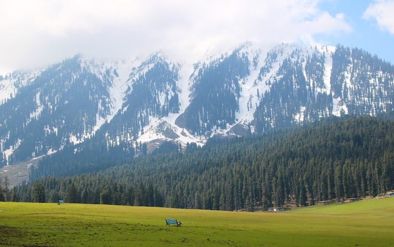 Doodhpathri / Jammu and Kashmir Place mentioned in saved reels