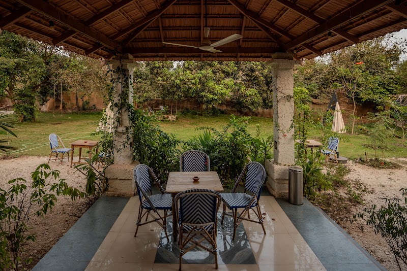 Dot In the Park / Anjuna Place mentioned in saved reels