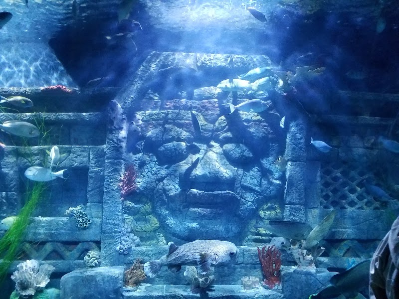 Downtown Aquarium / Houston