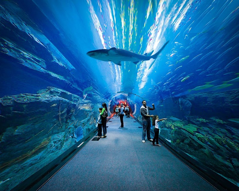 Dubai Aquarium / Dubai