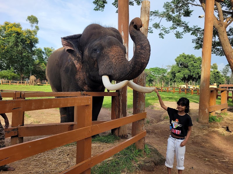 Dubare Elephant Camp / North Coorg