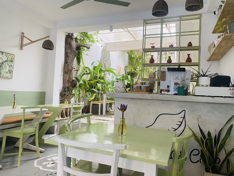 Dumplings Café / Galle Place mentioned in saved reels