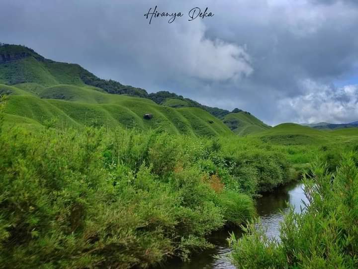 Dzukou Valley / Nagaland