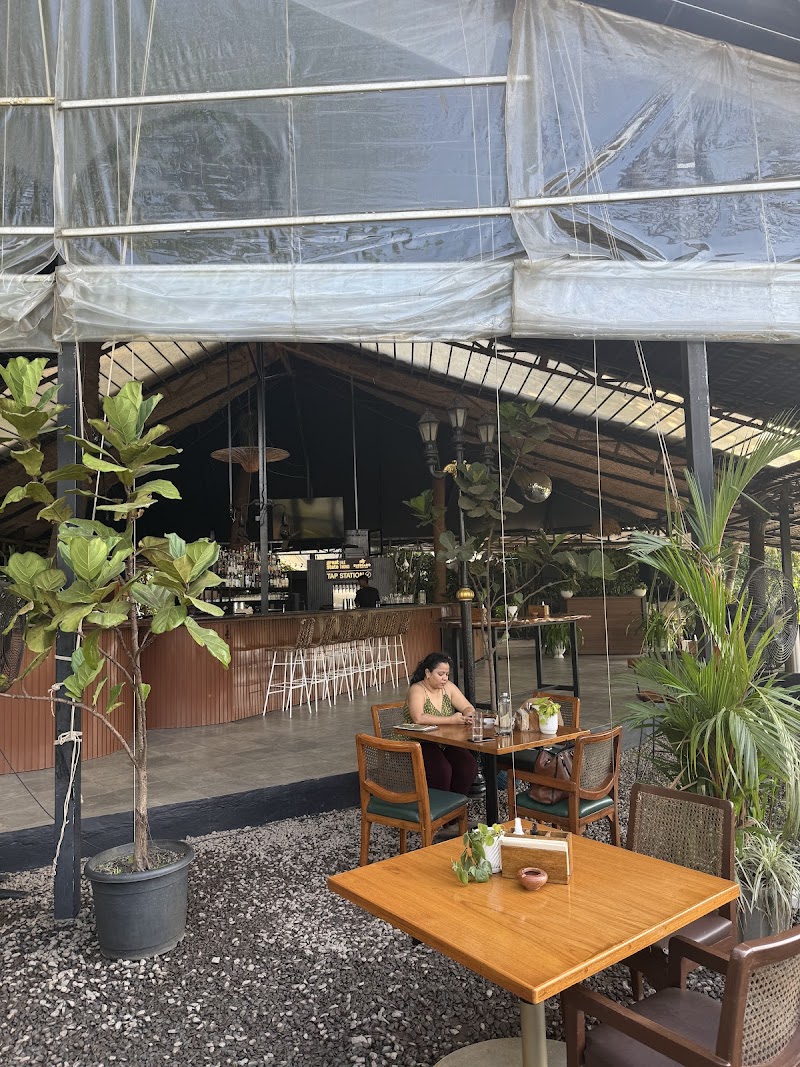 Elephant and Co. / Goa