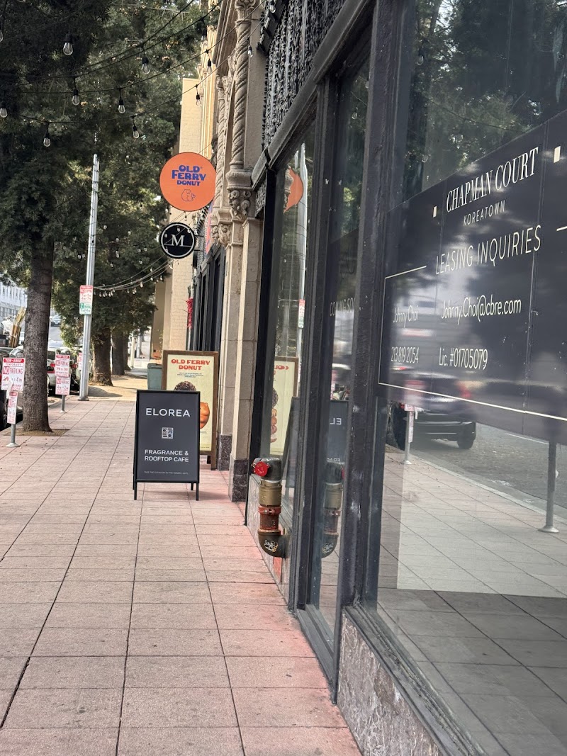 ELOREA / Spring St Place mentioned in saved reels