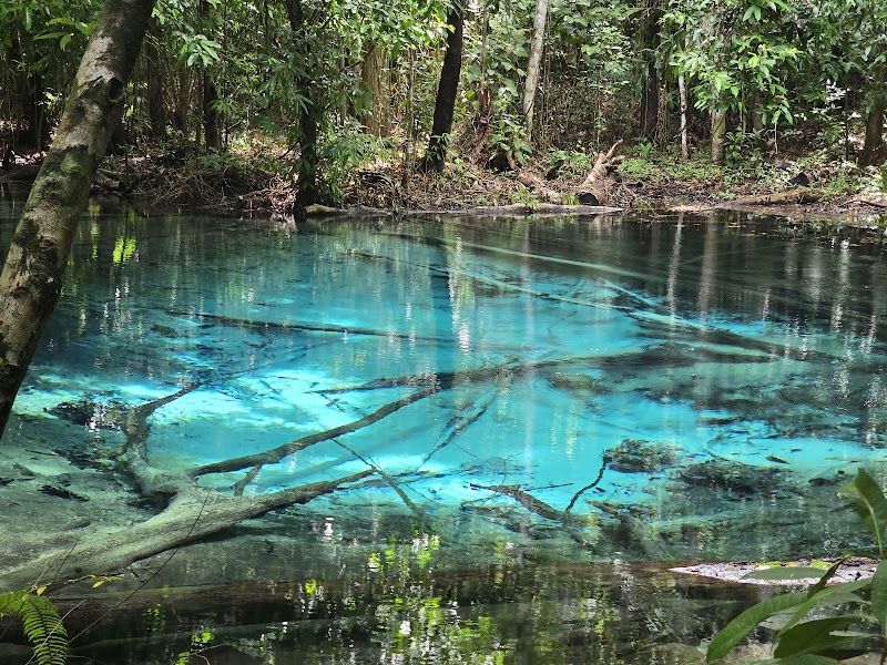 Emerald Pool / Krabi Place mentioned in saved reels