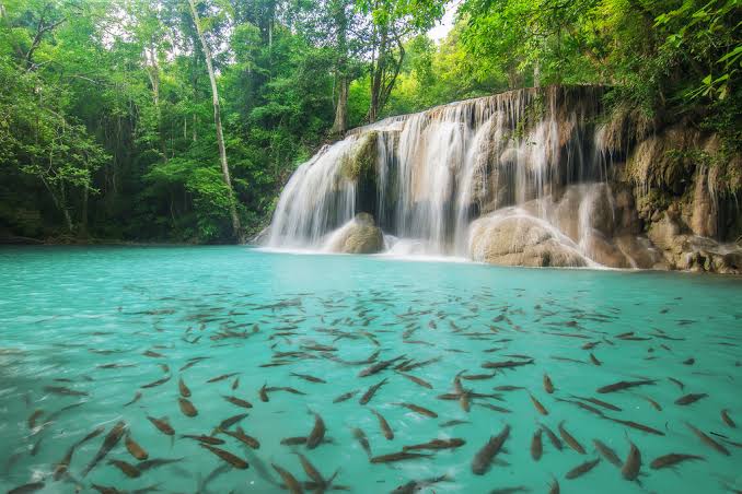 Erawan Falls / Kanchanaburi Place mentioned in saved reels