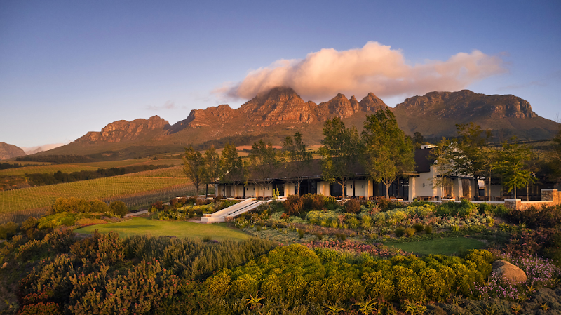 Ernie Els Wines / Stellenbosch Place mentioned in saved reels