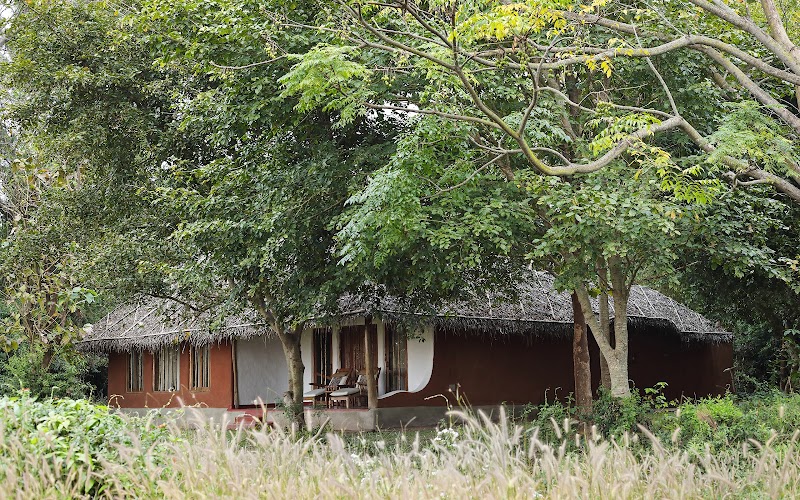 Evolve Back / Kabini Place mentioned in saved reels