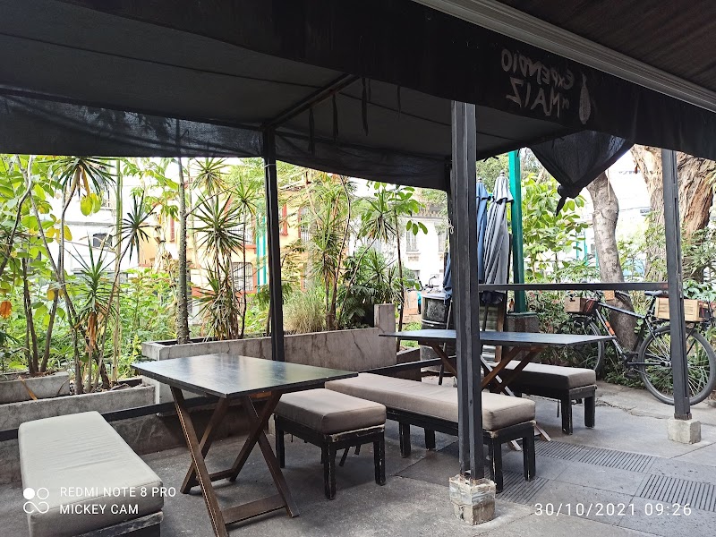 Expendio de Maiz / Mexico City