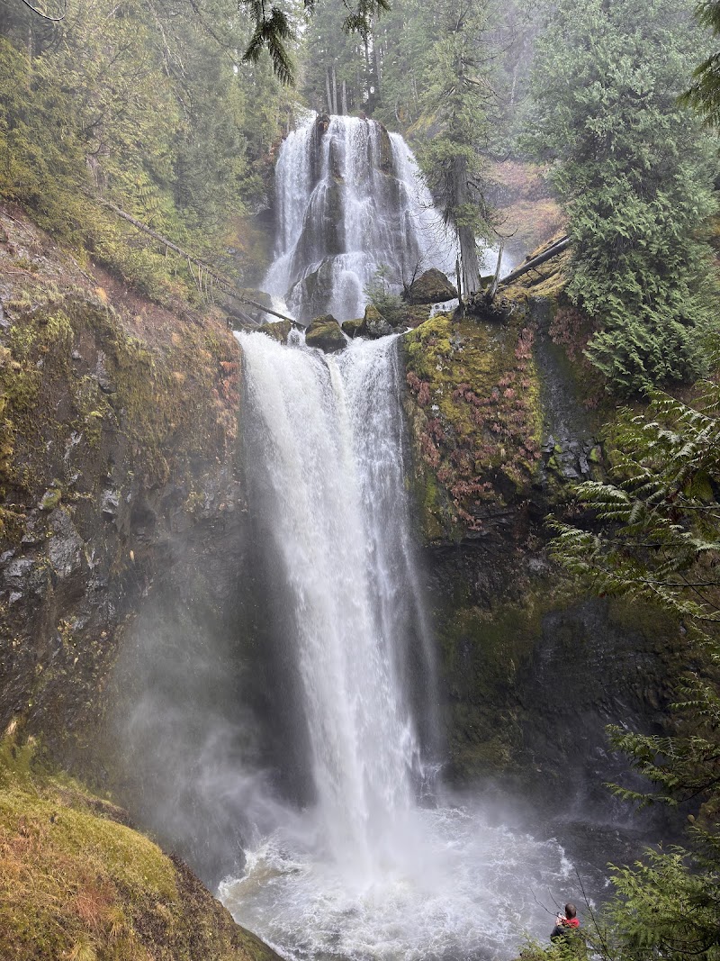 Falls Creek Falls / Washington