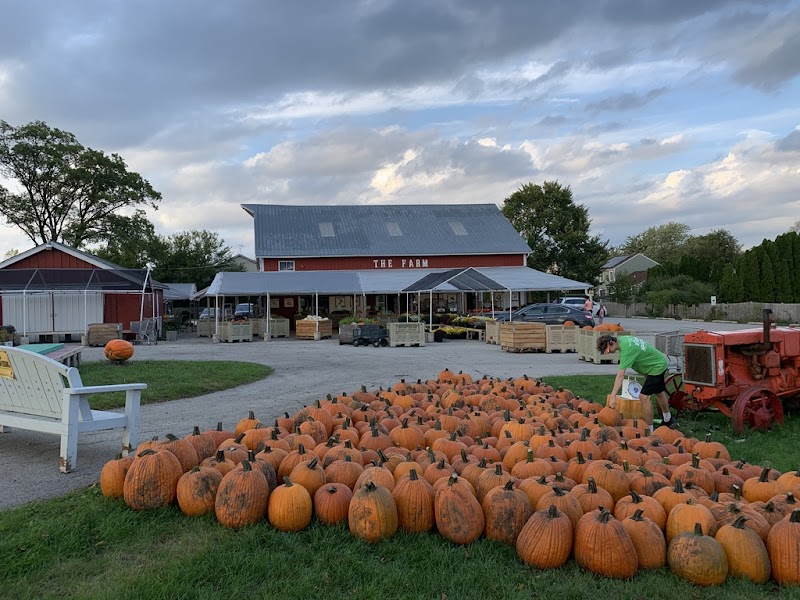 Farm Stand / Westmont Place mentioned in saved reels