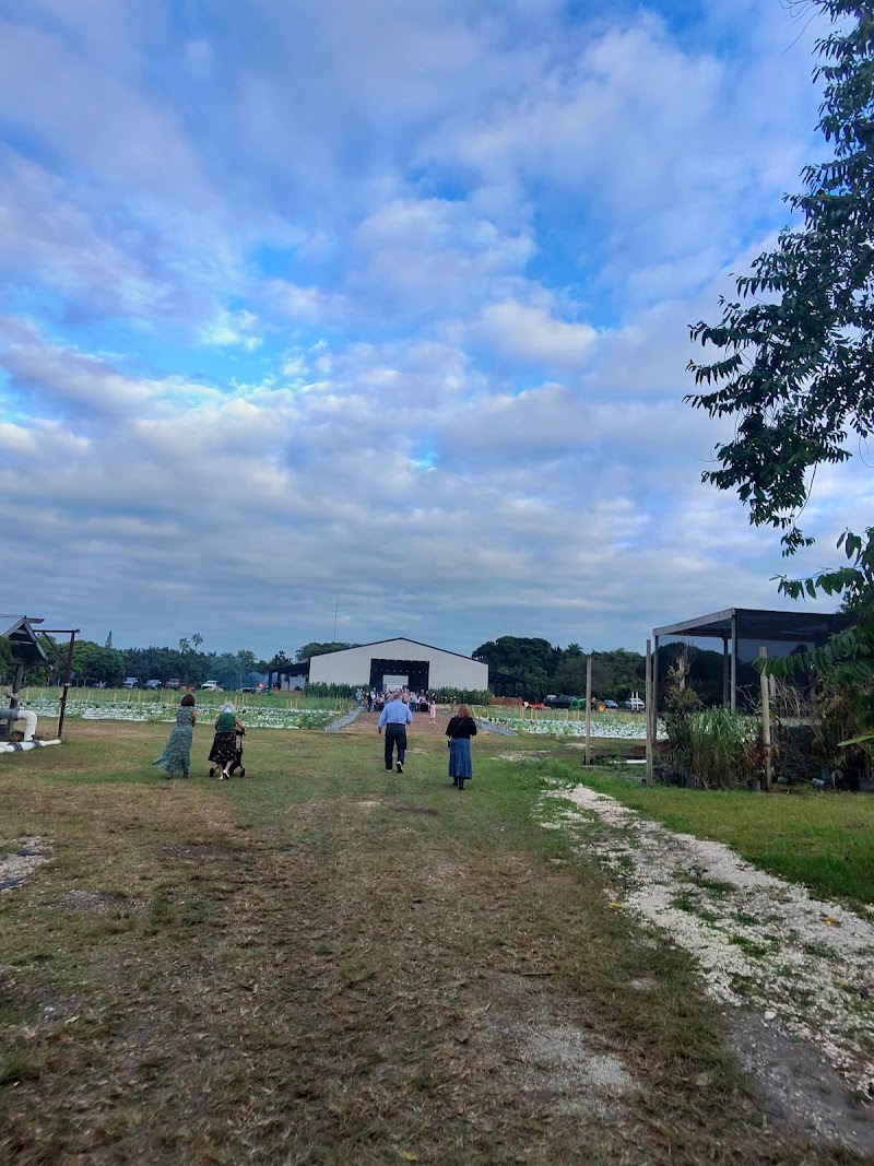 Ford's Farm / Miami Place mentioned in saved reels