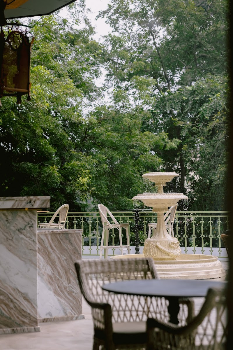 Forest Table / Delhi
