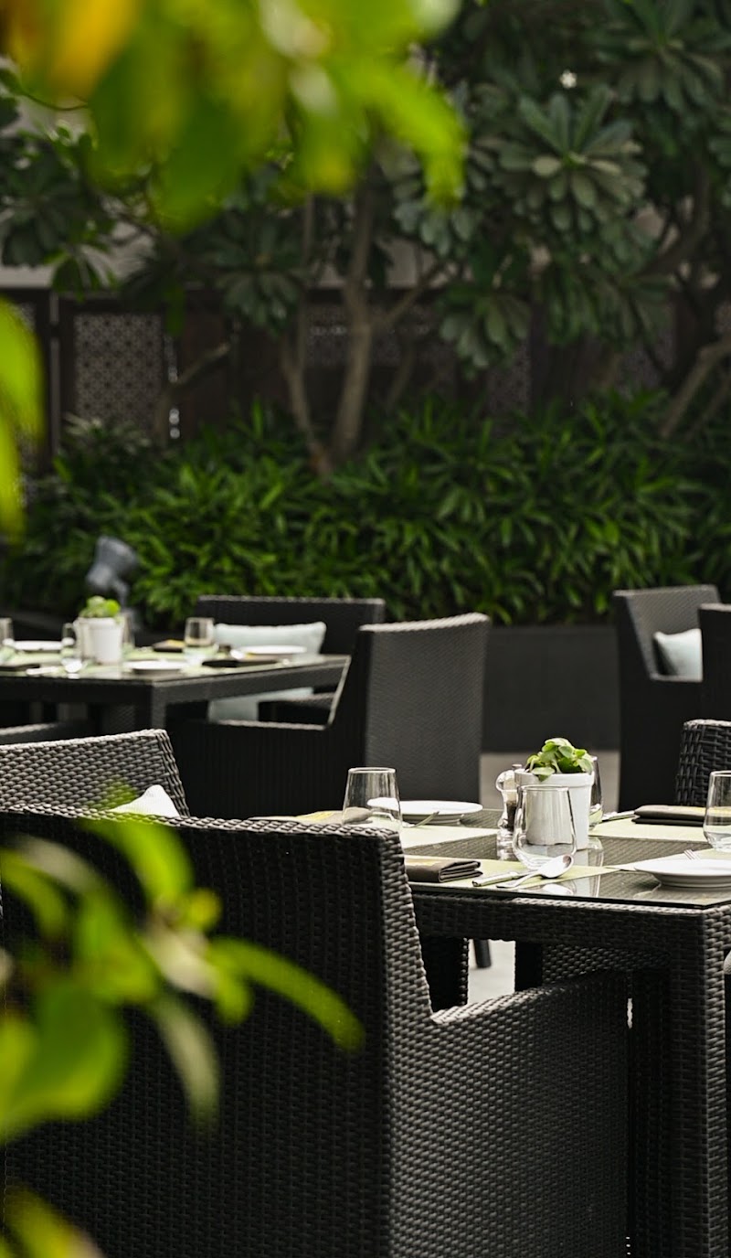 Forest View Deck / Gurgaon