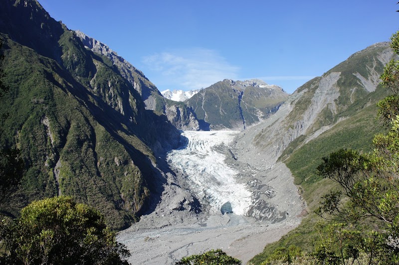 Fox Glacier / West Coast