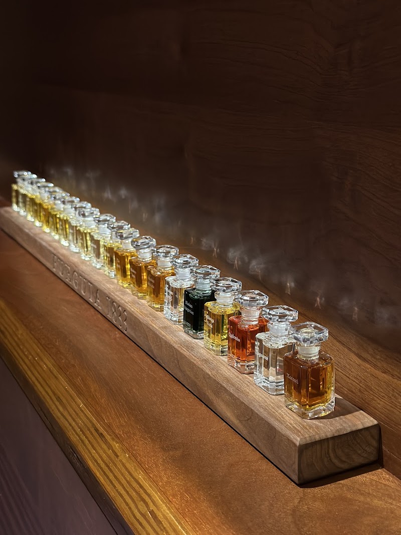 Fueguia 1833 / London