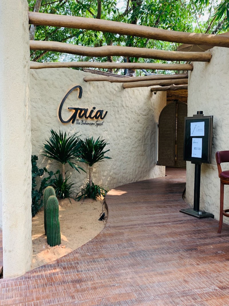 Gaia / Panampilly Nagar