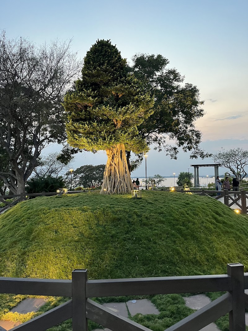 Gandipet landscape park / Hyderabad Place mentioned in saved reels