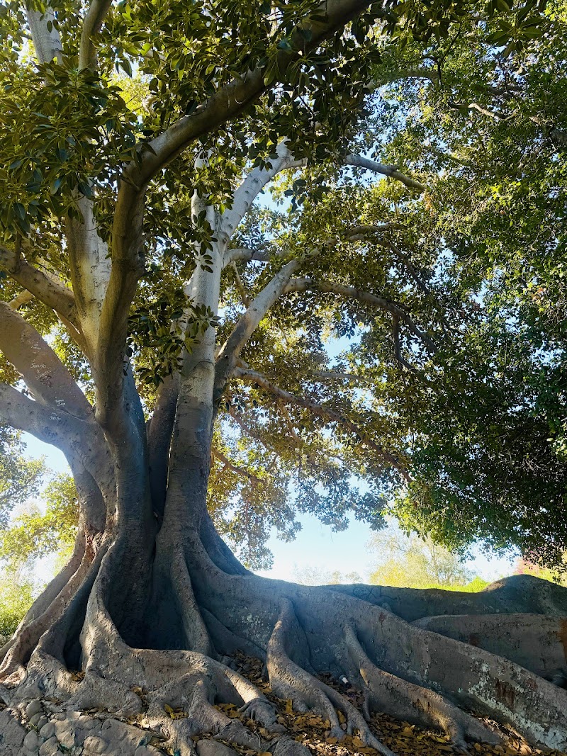 Ganesha Park / Pomona Place mentioned in saved reels
