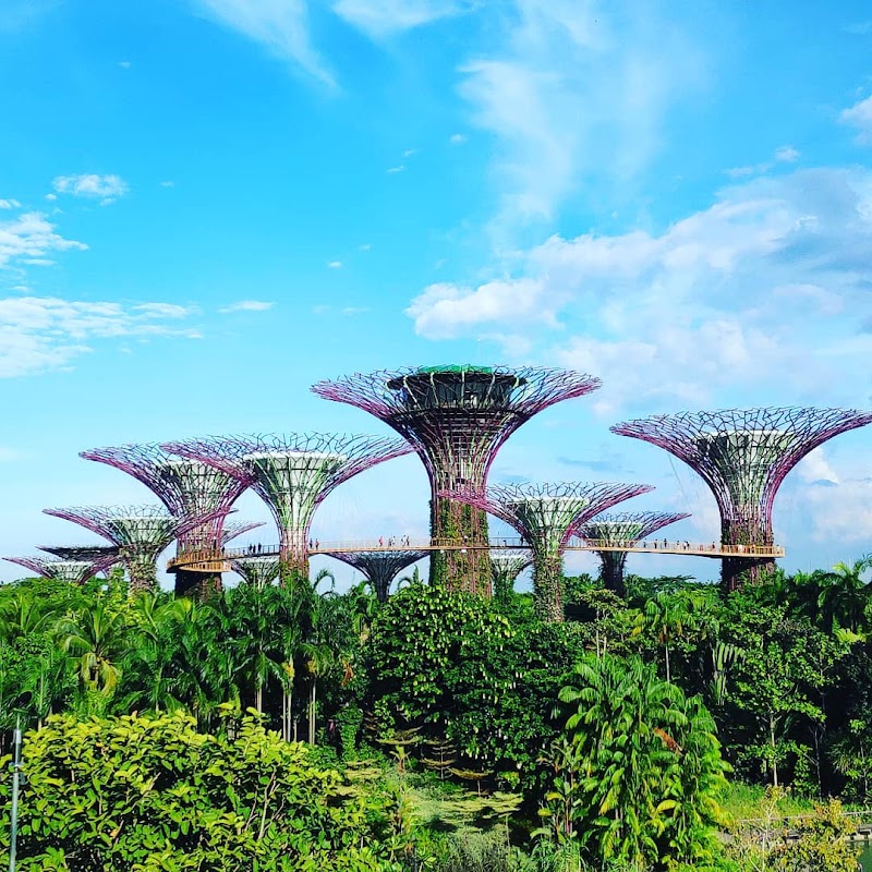 Gardens by the Bay Place mentioned in saved reels