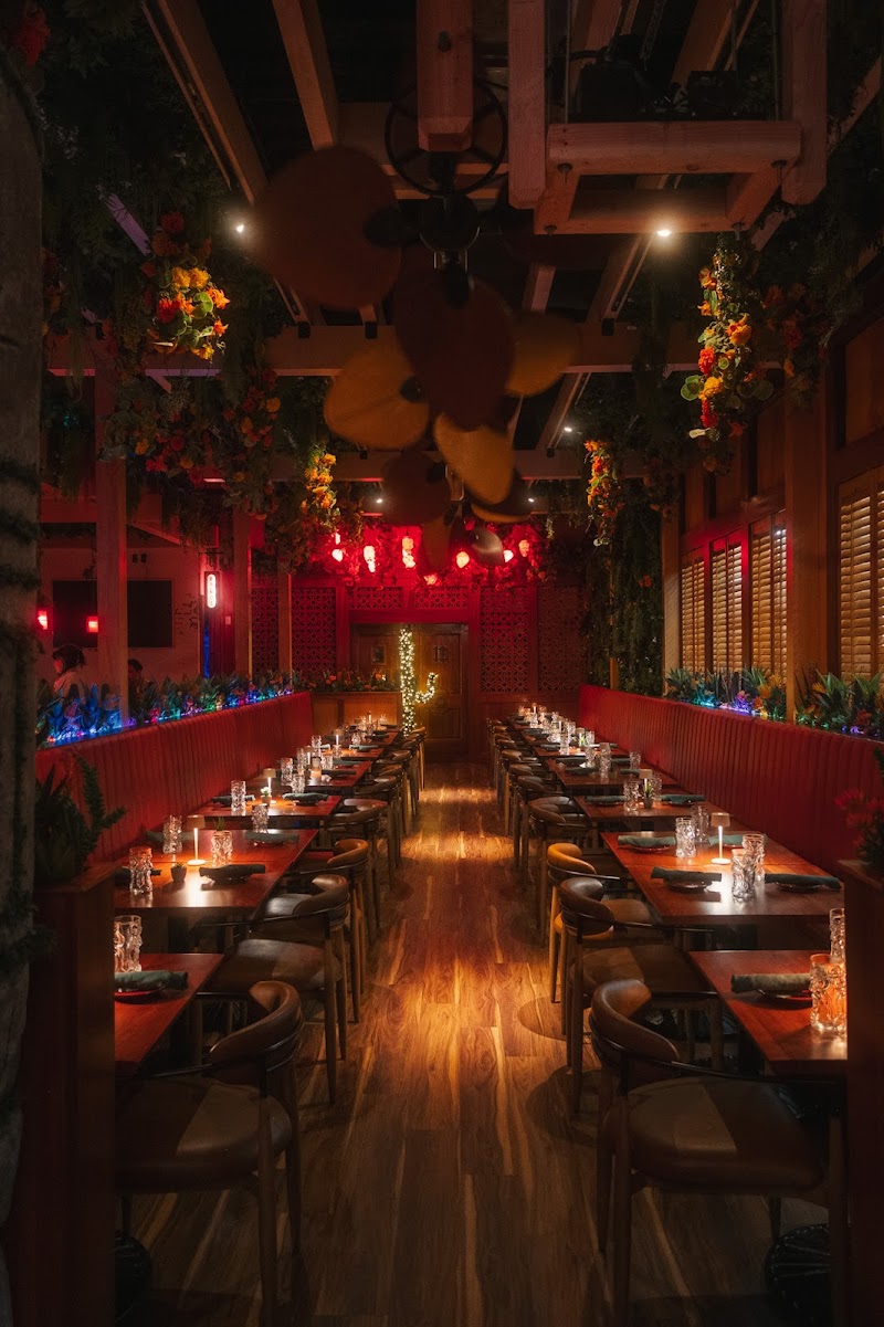 Gato Exotico / Boston Place mentioned in saved reels