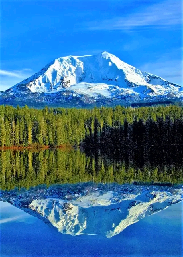 Gifford Pinchot National Forest / Washington Place mentioned in saved reels